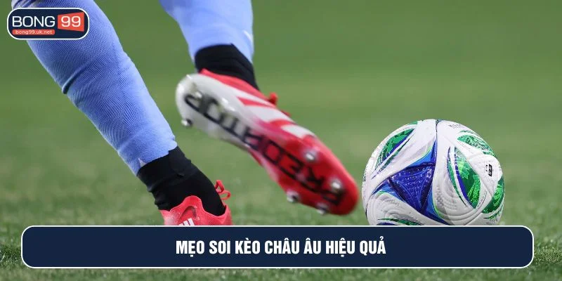 Tham khảo các mẹo cá cược hiệu quả