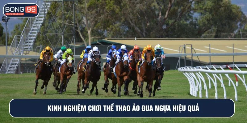 Tham khảo kinh nghiệm cá cược hiệu quả